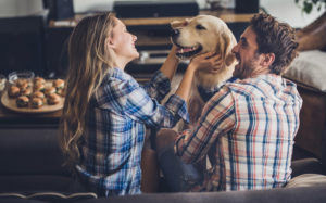 Family Petting Dog